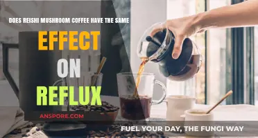 Reishi Mushroom Coffee: A Reflux-Safe Alternative?
