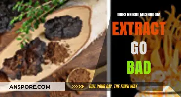Does Reishi Mushroom Extract Expire? Shelf Life and Storage Tips