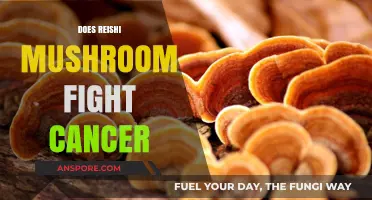 Reishi Mushrooms: Cancer-Fighting Superfood?