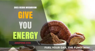 Reishi Mushrooms: Natural Energy Boost or Myth?