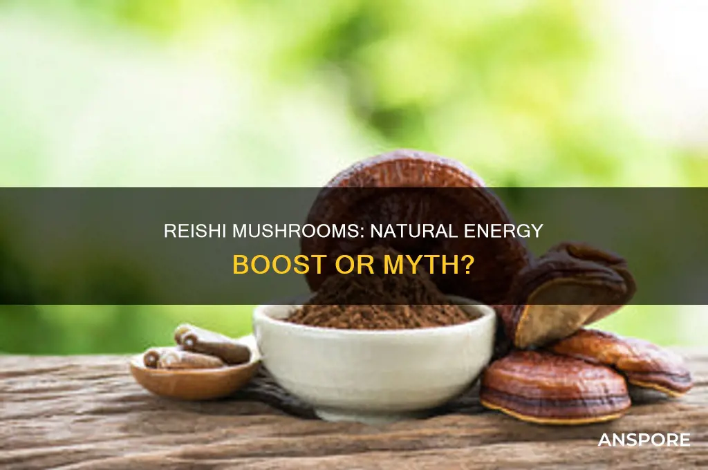 does reishi mushroom give you energy