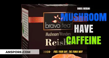 Reishi Mushroom: A Caffeine-Free Superfood?
