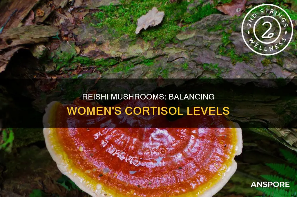 does reishi mushroom help with balancing cortisol levels in women