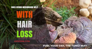 Reishi Mushrooms: Natural Remedy for Hair Loss?