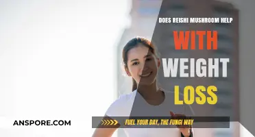 Reishi Mushrooms: Weight Loss Superfood?
