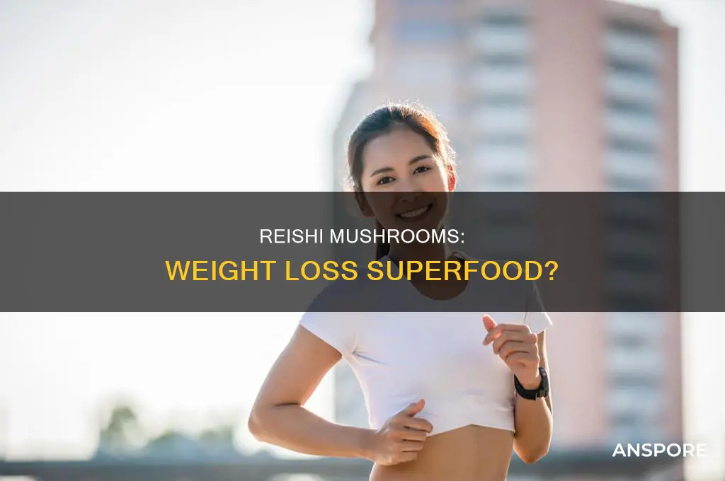 does reishi mushroom help with weight loss