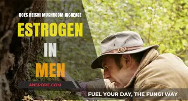 Reishi Mushrooms: Do They Increase Estrogen Levels in Men?
