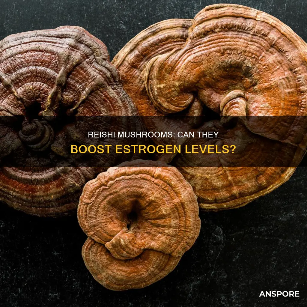 does reishi mushroom increase estrogen