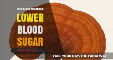 Reishi Mushrooms: Can They Lower Blood Sugar?