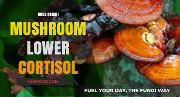 Reishi Mushrooms: Cortisol's Natural Antidote?