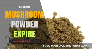 Reishi Mushroom Powder: Does It Expire?
