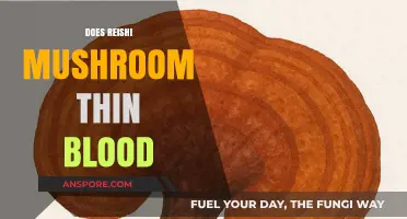 Reishi Mushrooms: Blood Thinning Superfood?