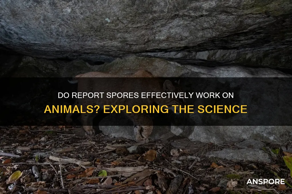 does report spores work on animals
