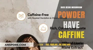 Reshi Mushroom Powder: Caffeine or Not?