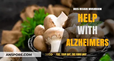 Resishi Mushroom: Alzheimer's Natural Remedy?