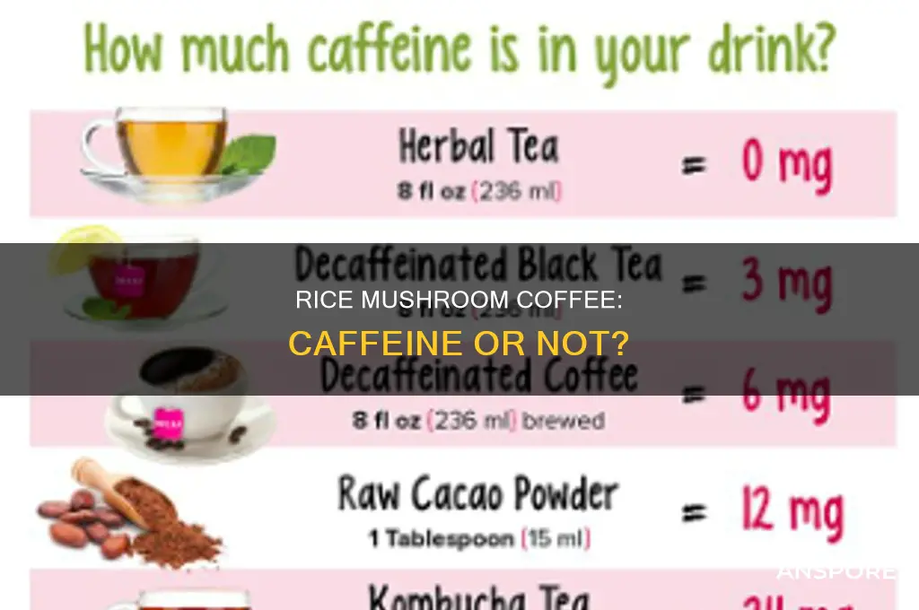 does rice mushroom coffee have caffeine