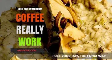 Rice, Mushroom, Coffee: Superfood or Super-Hype?