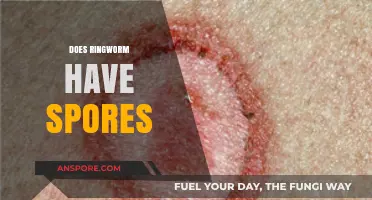 Ringworm Spores: Uncovering the Truth Behind Fungal Infections
