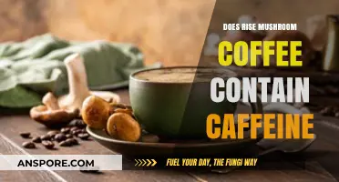 Mushroom Coffee: Caffeine or Not?