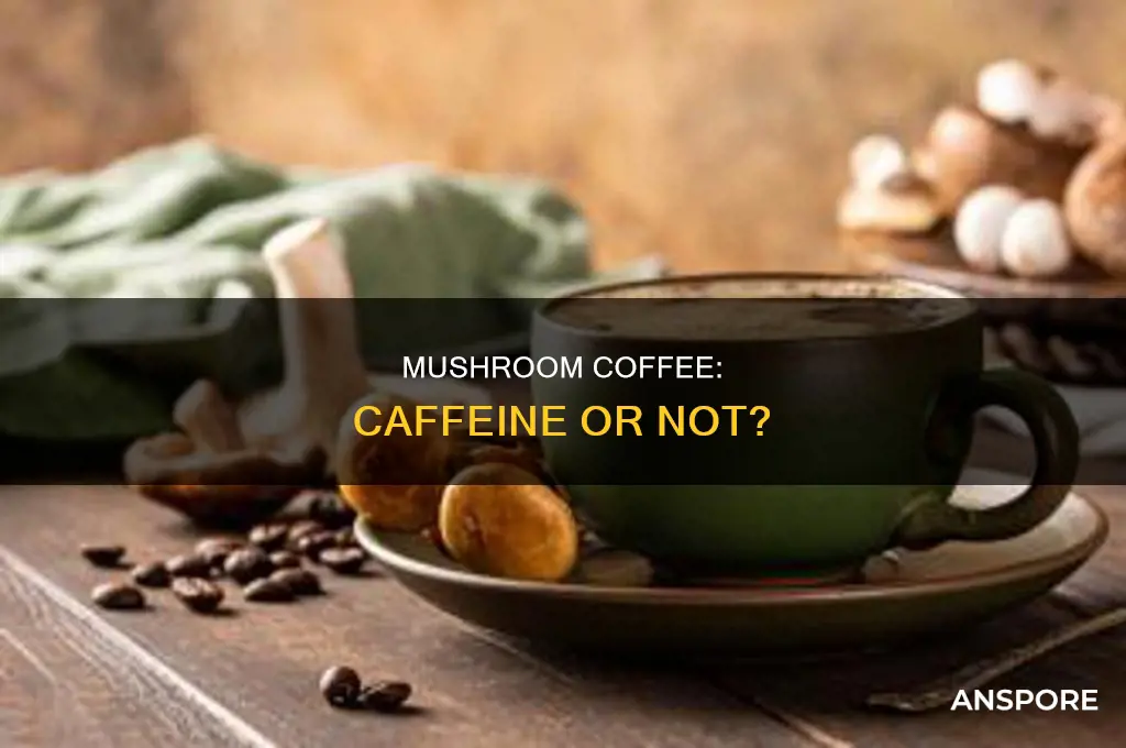 does rise mushroom coffee contain caffeine
