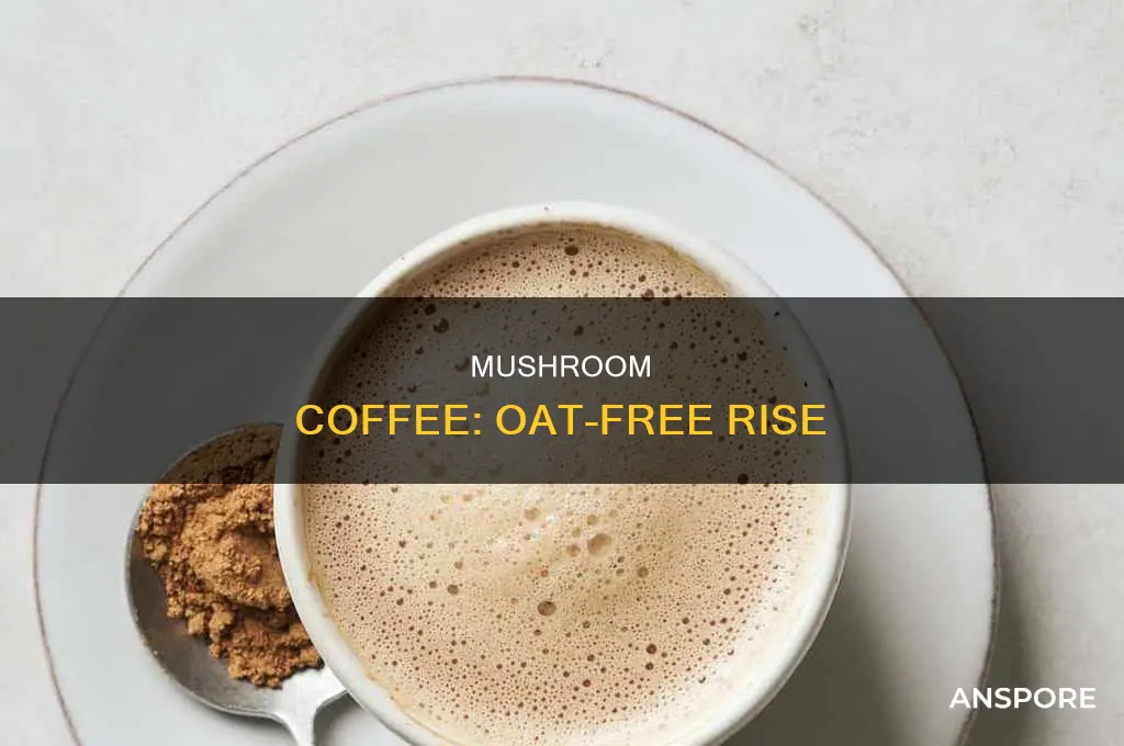 does rise mushroom coffee contain oats
