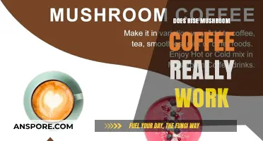 Mushroom Coffee: Does Rise Live Up to the Hype?