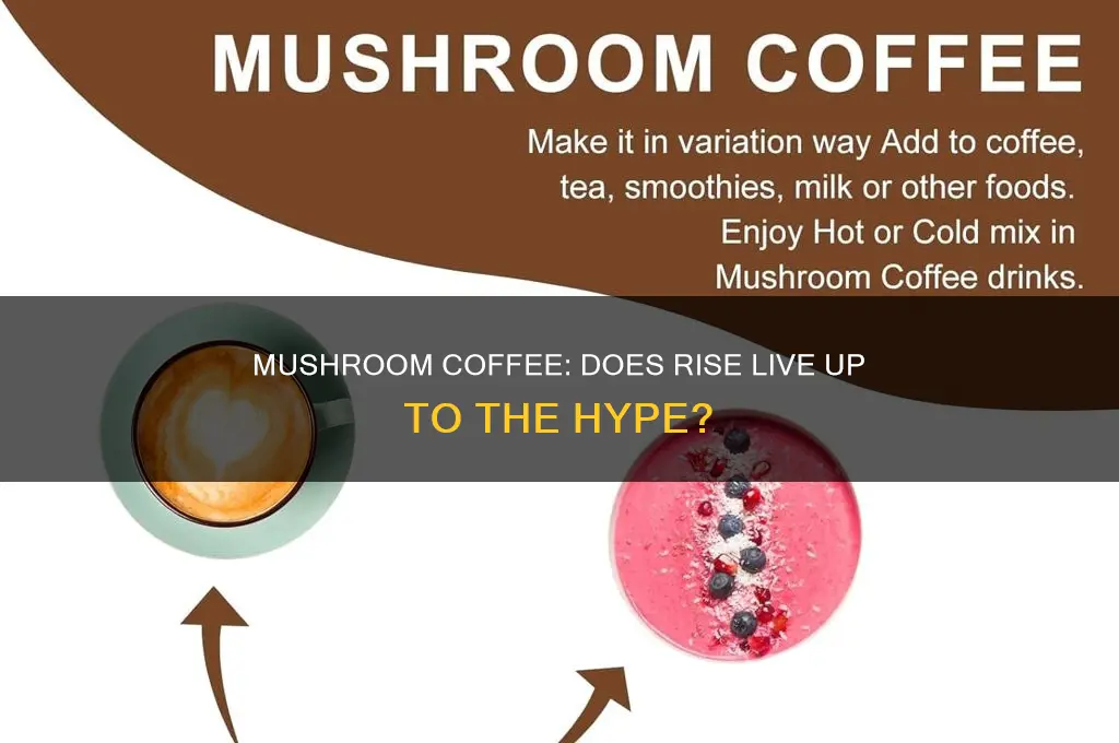 does rise mushroom coffee really work