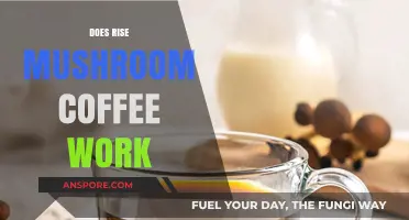 Mushroom Coffee: Does Rise's Blend Work?