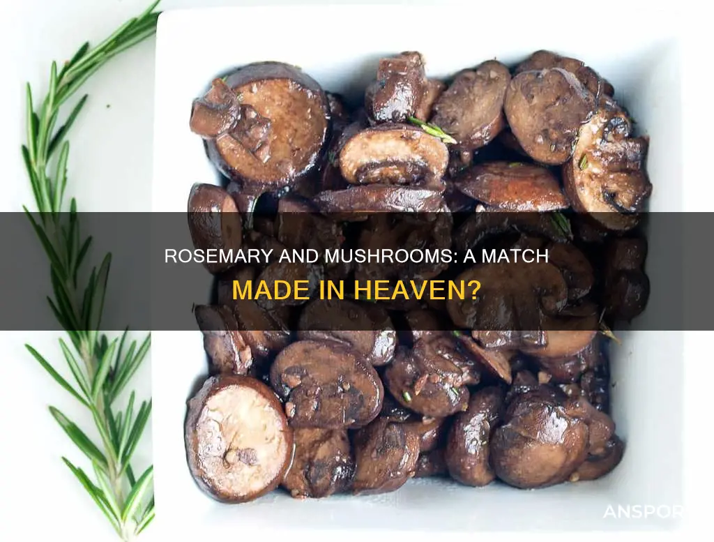 does rosemary go with mushrooms