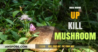 How Roundup Destroys Mushrooms and Other Fungi