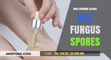 Rubbing Alcohol vs. Fungus Spores: Effective Treatment or Myth?