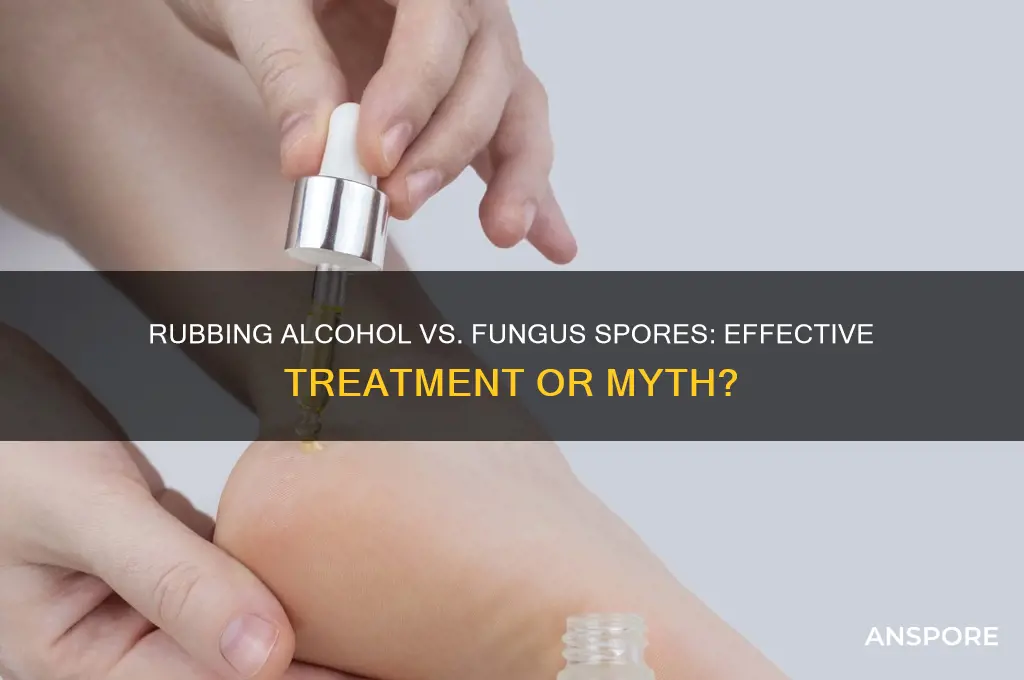 does rubbing alchol kill fungus spores