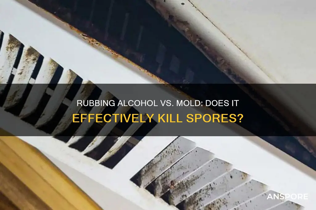 does rubbing alcohol kill mold spores