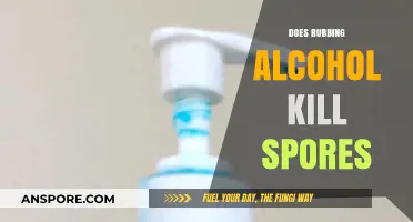 Can Rubbing Alcohol Effectively Kill Spores? Facts and Myths Explained