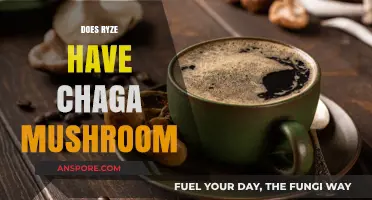 Ryze Life: Chaga Mushroom Superpowers