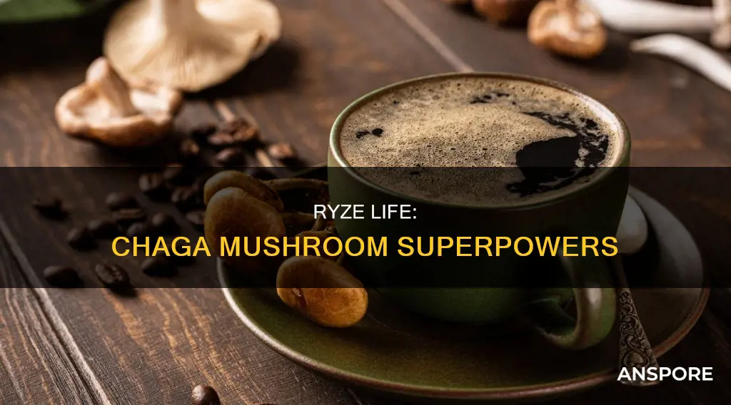does ryze have chaga mushroom