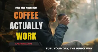 Ryze Mushroom Coffee Review: Does It Deliver Energy and Focus?
