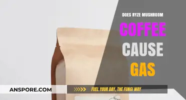 Ryze Mushroom Coffee: Gas and Bloating Side Effects?