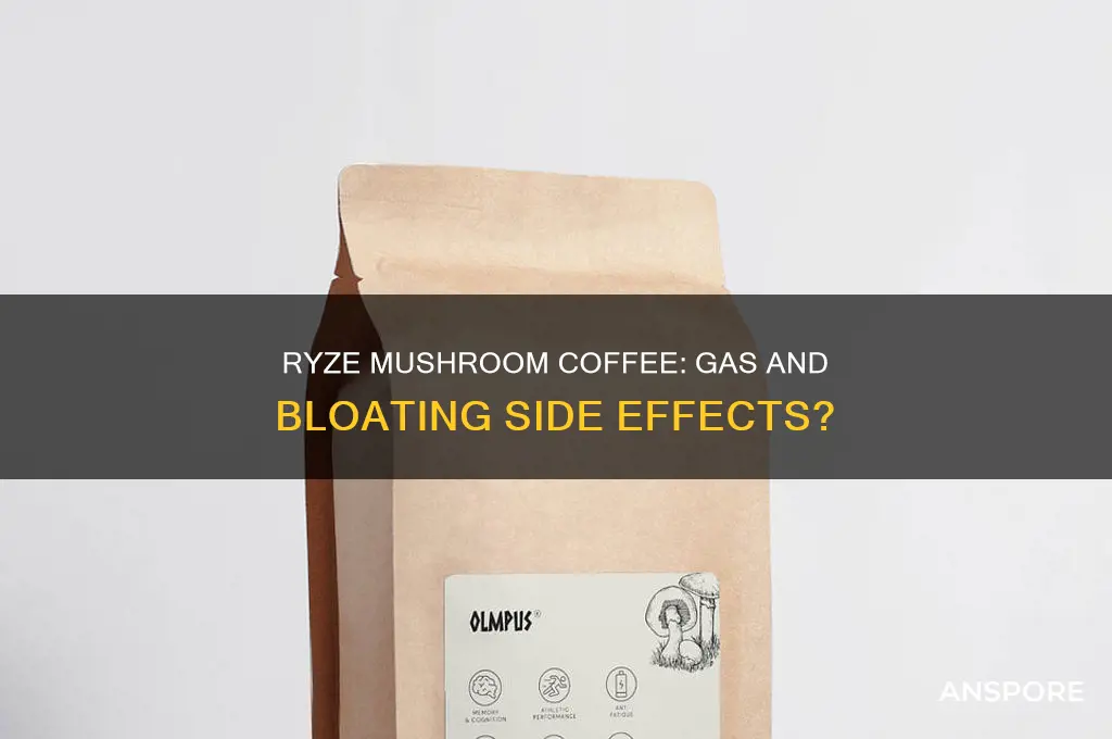 does ryze mushroom coffee cause gas