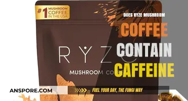 Ryze Mushroom Coffee: Caffeine or Not?