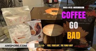 Does Ryze Mushroom Coffee Expire? Shelf Life and Storage Tips