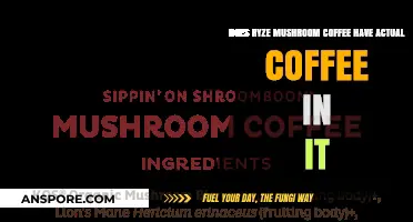 Ryze Mushroom Coffee: Coffee or Not?