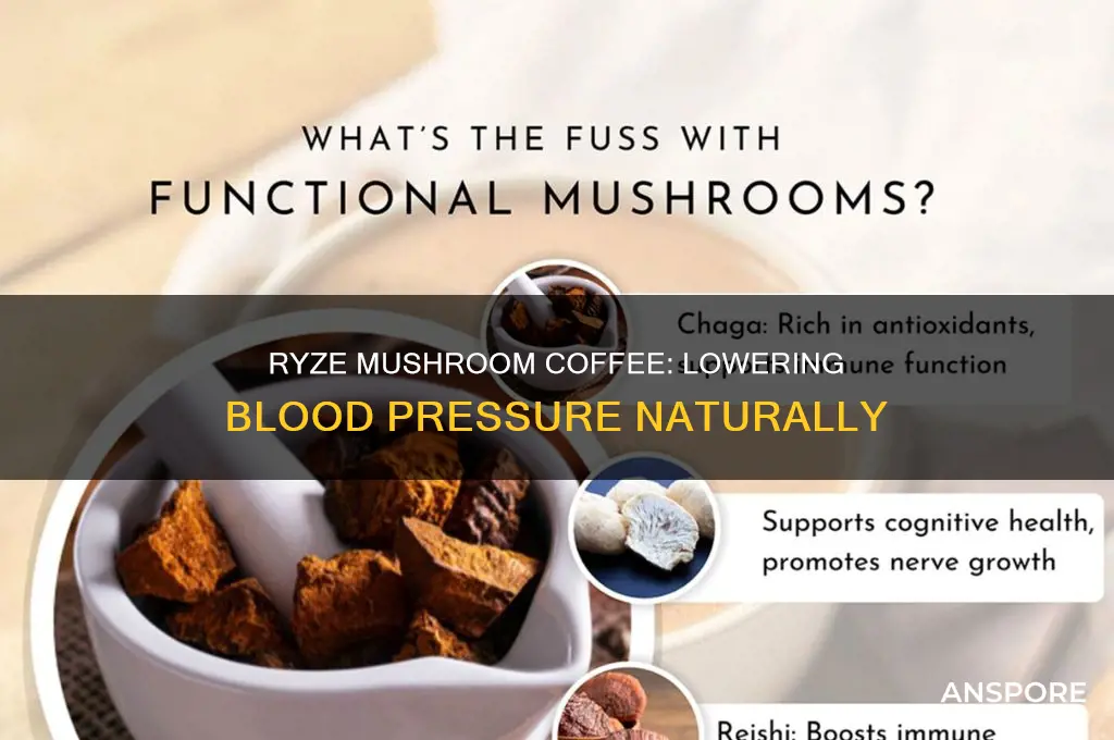 does ryze mushroom coffee lower blood pressure