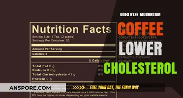 Ryze Mushroom Coffee: Lowering Cholesterol, Fact or Fiction?
