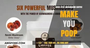 Ryze Mushroom Coffee and Digestion: Does It Cause Frequent Bowel Movements?