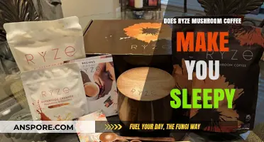 Does Ryze Mushroom Coffee Cause Sleepiness? Uncovering the Truth