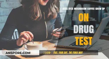 Ryze Mushroom Coffee and Drug Tests: What You Need to Know