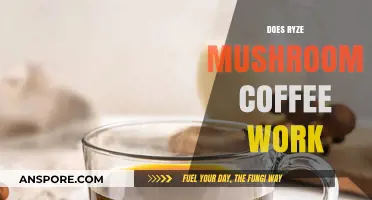 Mushroom Coffee: Does Ryze's Product Work?
