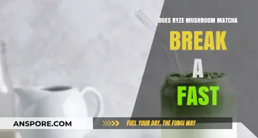 Ryze Mushroom Matcha: Fasting Friend or Foe?