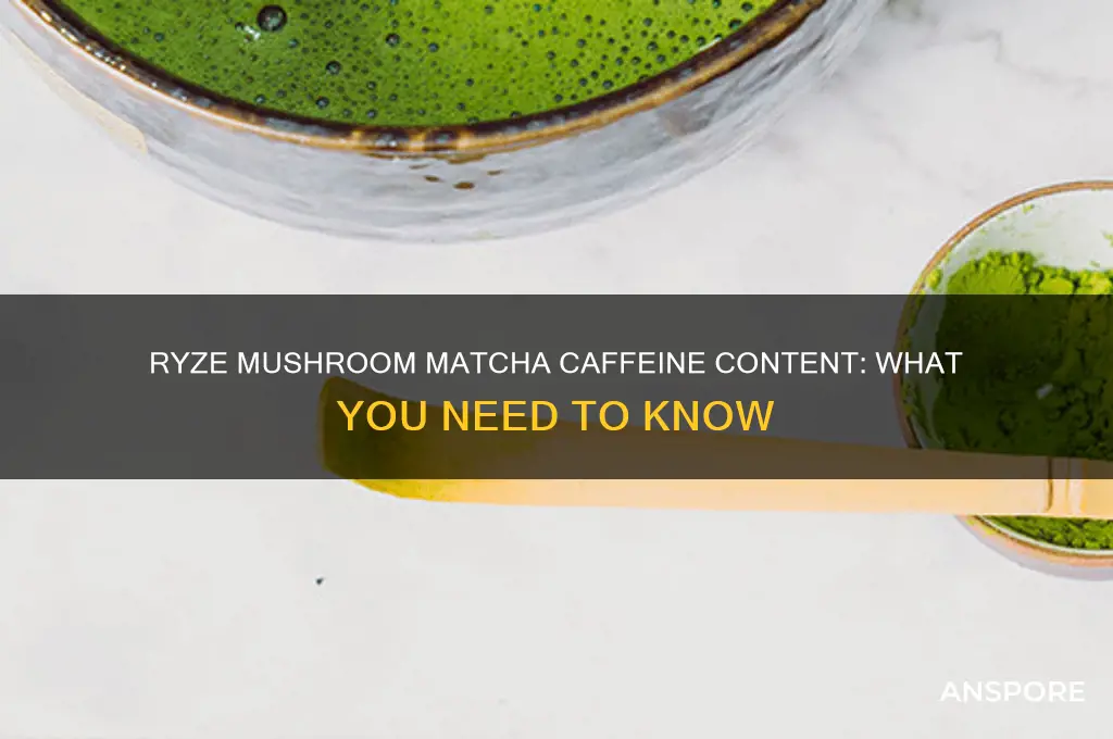 does ryze mushroom matcha have caffeine
